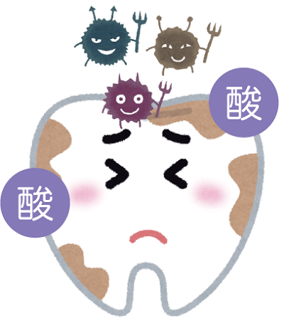 酸に負けないよう歯にする為に