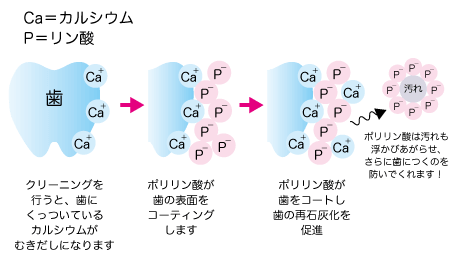歯を白くするポリリン酸の効能