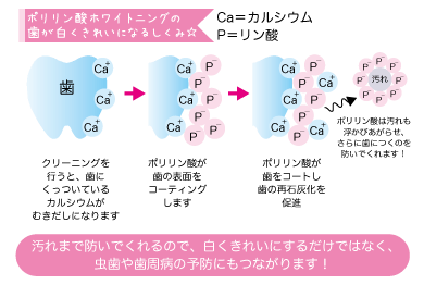 歯が白くなるメカニズム
